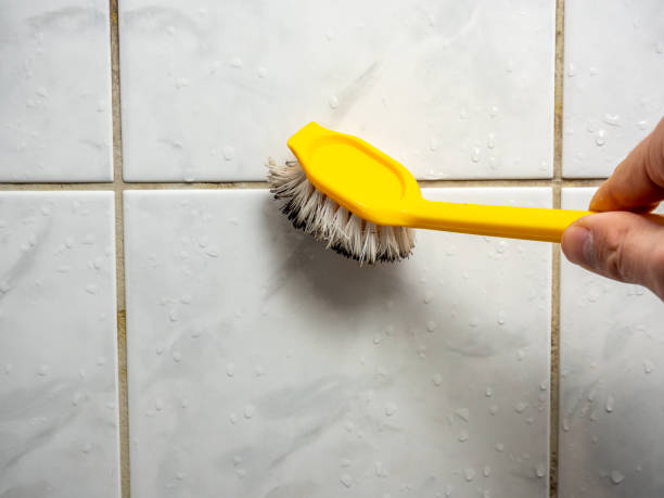 Best Commercial Mold Removal  in Keene, TX