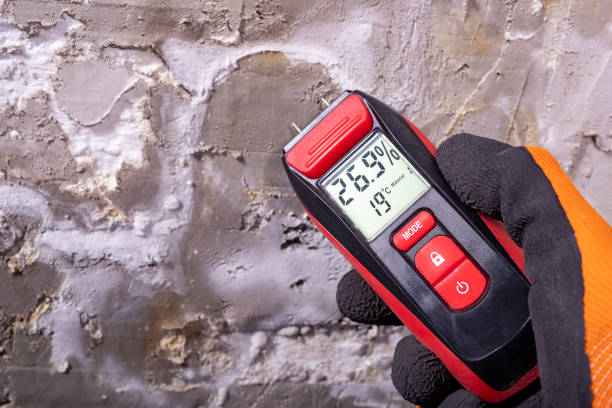 Best Mold Removal and Inspection  in Keene, TX