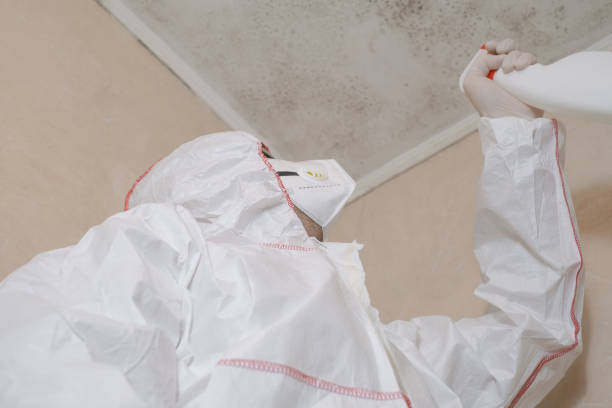 Best Toxic Mold Removal  in Keene, TX