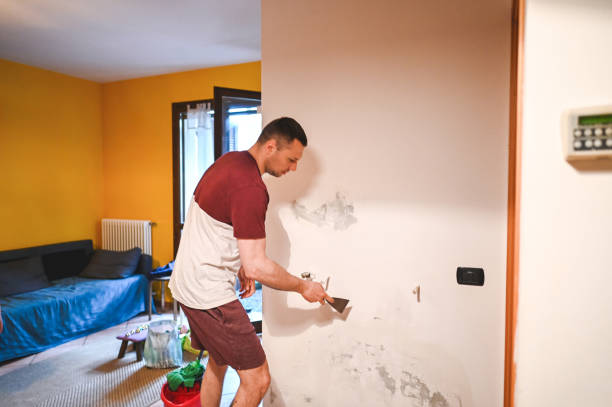 Best Mold Cleaning Services  in Keene, TX