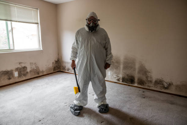 Trusted Keene, TX Mold Removal Experts